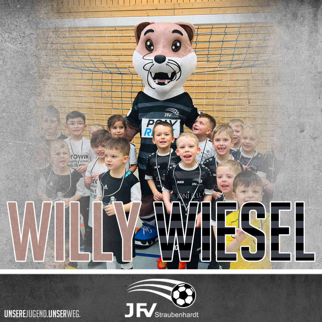 Willy Wiesel Banner-Bild