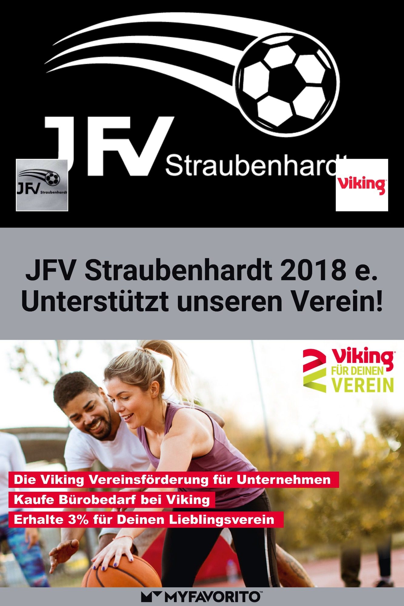 Viking-für-deinen-verein-banner-01